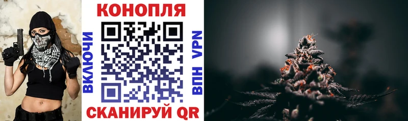 Виды наркотиков купить Кедровый Метамфетамин  Меф  Каннабис  КОКАИН  Галлюциногенные грибы 