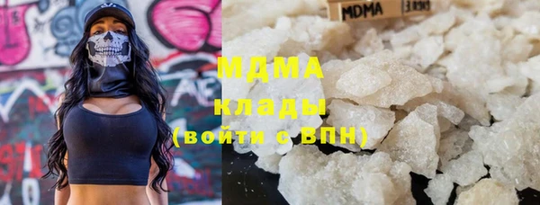 индика Каменногорск