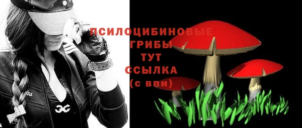 гашик Каменка