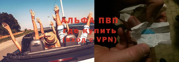гашик Каменка