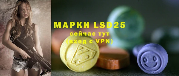 гашик Каменка