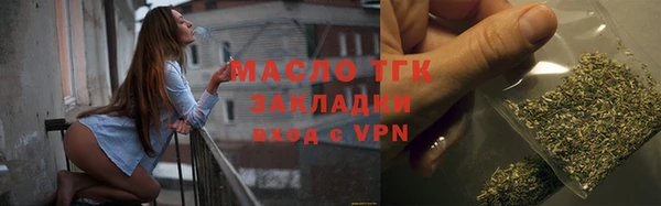 индика Каменногорск