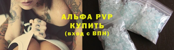 индика Каменногорск