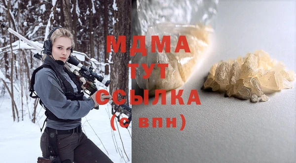 индика Каменногорск