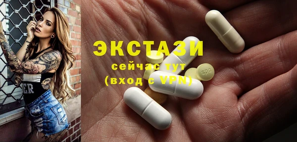индика Каменногорск