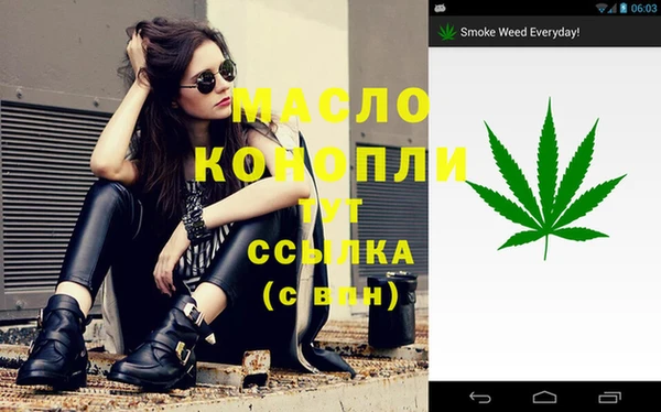 гашик Каменка