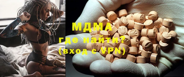 индика Каменногорск
