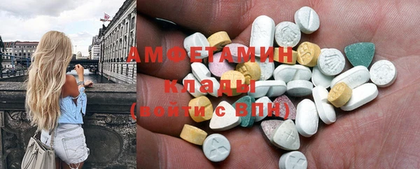 индика Каменногорск