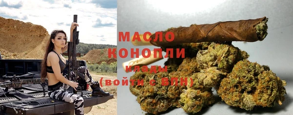 гашик Каменка