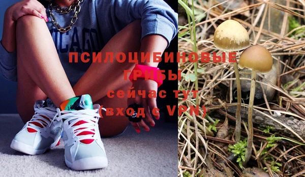 a pvp Карпинск