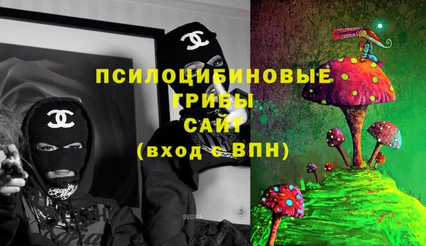 индика Каменногорск