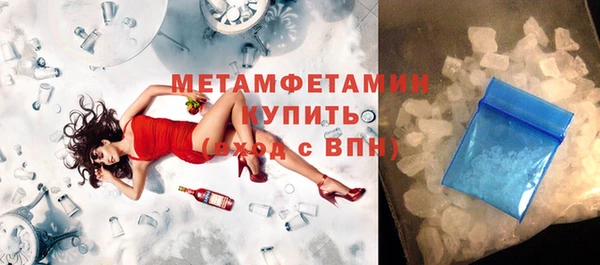 индика Каменногорск