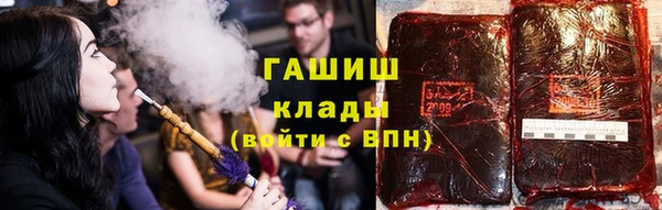 индика Каменногорск