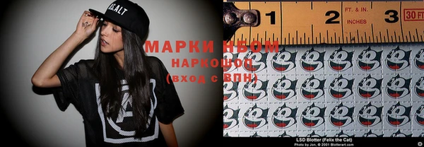 индика Каменногорск