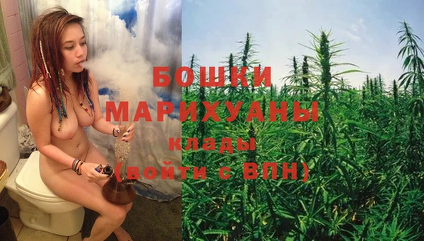 индика Каменногорск